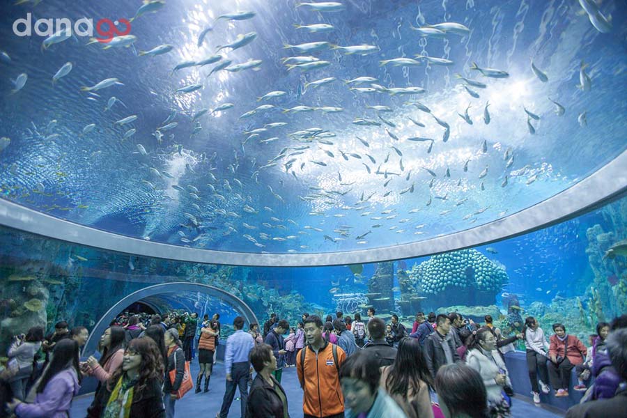 Tour Du Lịch Nha Trang 3 ngày 2 đêm Tour Du Lịch Nha Trang 3 ngày 2 đêm