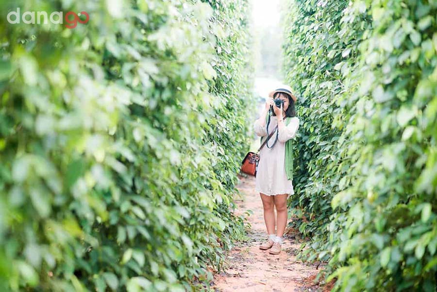 Tour Du Lịch Phú Quốc 3 Ngày 2 Đêm Tour Du Lịch Phú Quốc 3 Ngày 2 Đêm