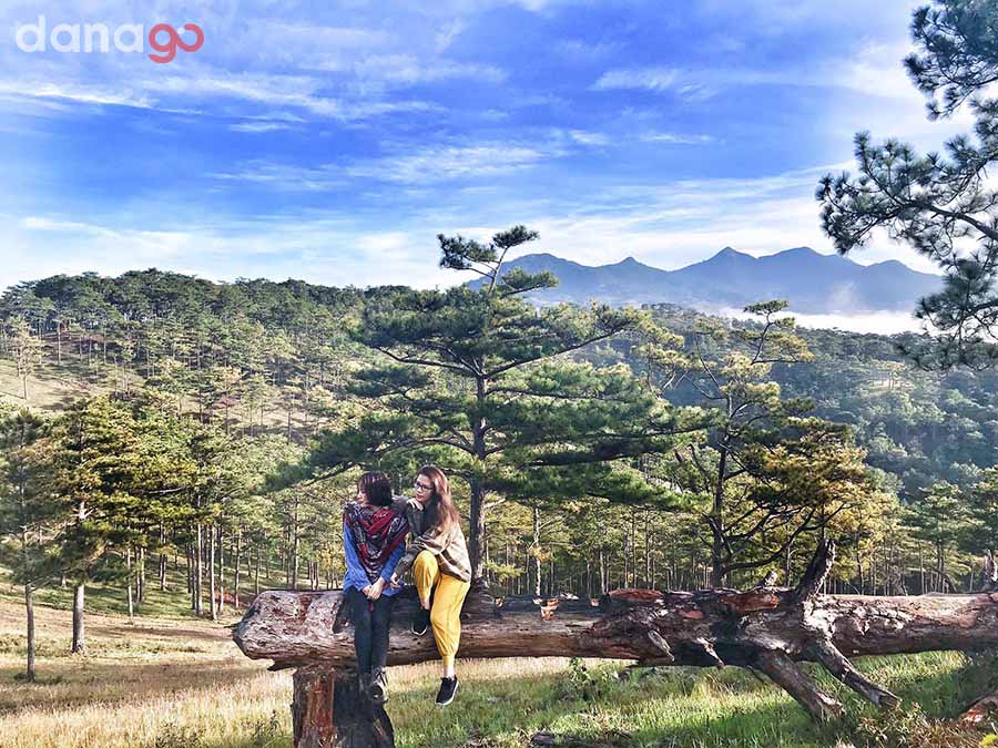 Tour Du Lịch Đà Lạt 4 Ngày Tour Du Lịch Đà Lạt 4 Ngày