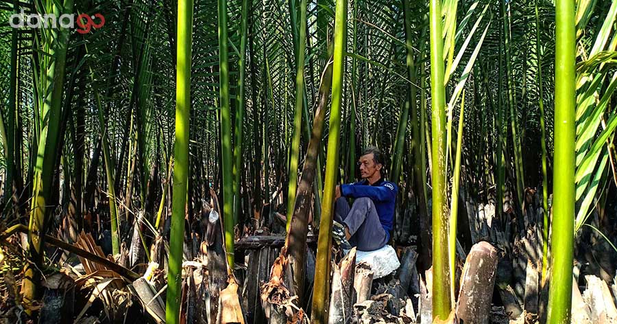 Tour Cà Mau Đi Đà Nẵng 3 ngày 2 đêm
