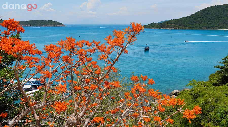 Tour Phú Thọ đi Đà Nẵng 3 Ngày Tour Phú Thọ đi Đà Nẵng 3 Ngày